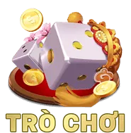 Hỗ Trợ 24/7